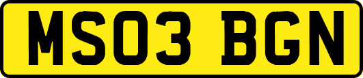 MS03BGN