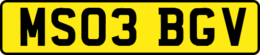 MS03BGV