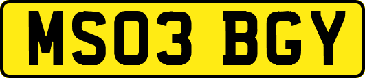 MS03BGY