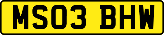 MS03BHW