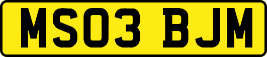 MS03BJM