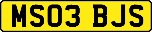 MS03BJS