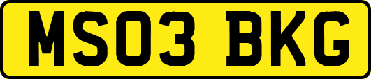 MS03BKG
