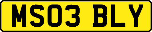 MS03BLY