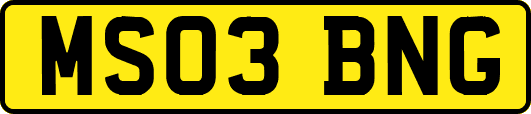 MS03BNG
