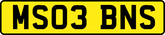 MS03BNS