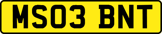 MS03BNT