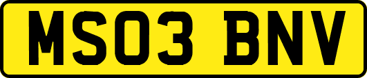 MS03BNV
