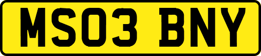 MS03BNY
