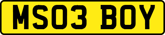 MS03BOY