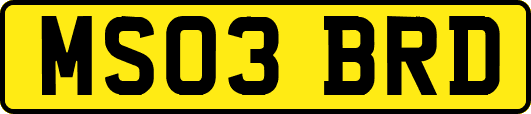 MS03BRD