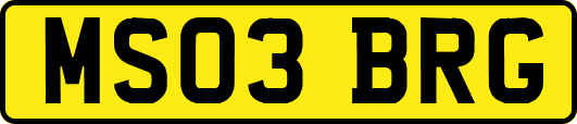 MS03BRG