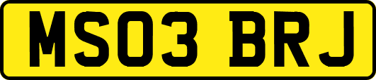 MS03BRJ