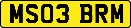 MS03BRM