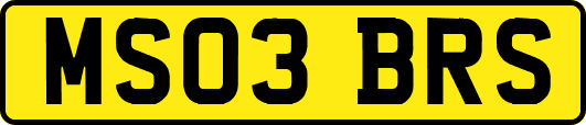 MS03BRS