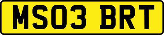 MS03BRT