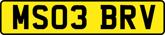 MS03BRV