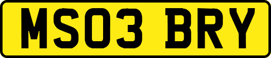 MS03BRY