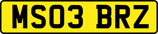 MS03BRZ