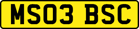 MS03BSC
