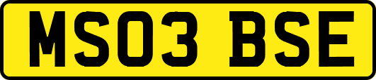 MS03BSE