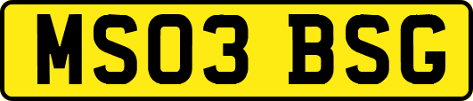 MS03BSG