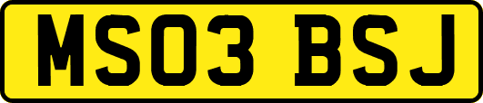 MS03BSJ