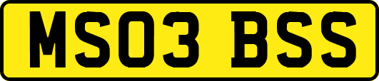MS03BSS