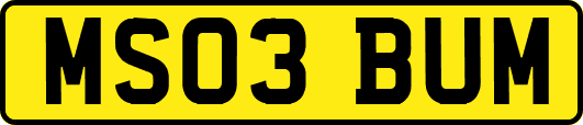 MS03BUM