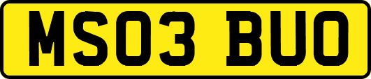 MS03BUO