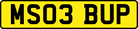 MS03BUP
