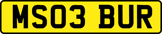MS03BUR