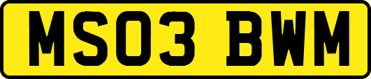 MS03BWM