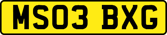 MS03BXG