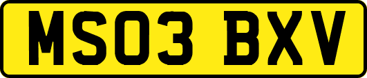 MS03BXV