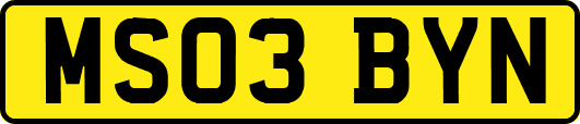 MS03BYN