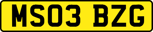 MS03BZG