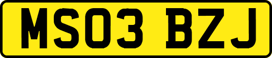 MS03BZJ