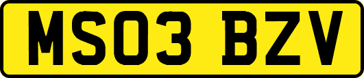 MS03BZV