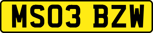 MS03BZW