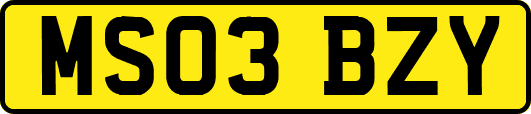 MS03BZY