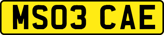 MS03CAE