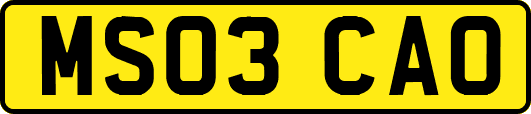 MS03CAO