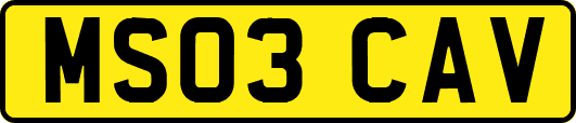 MS03CAV