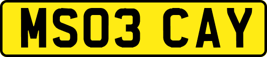 MS03CAY