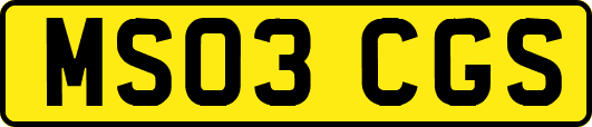 MS03CGS