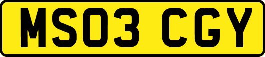 MS03CGY