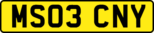 MS03CNY