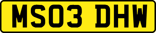 MS03DHW