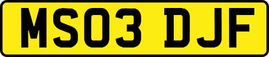 MS03DJF
